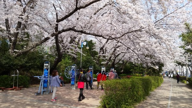 慶和駅の外側の歩道周辺の風景